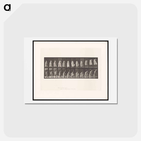 アートポストカード-Woman Ascending
 - エドワード マイブリッジ Postcard.