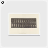 アートポストカード-Naked Woman Walking
 - エドワード マイブリッジ Postcard.