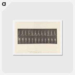 アートポストカード-Naked Woman Walking
 - エドワード マイブリッジ Postcard.