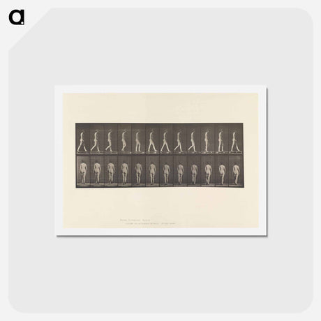 アートポストカード-Naked Woman Walking
 - エドワード マイブリッジ Postcard.