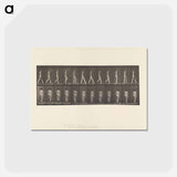 アートポストカード-Naked Woman Walking
 - エドワード マイブリッジ Postcard.