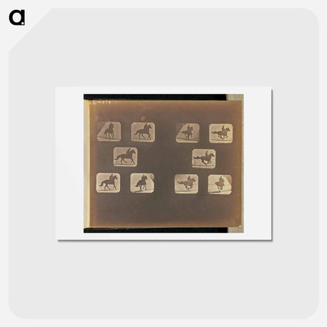 アートポストカード-Running
 - エドワード マイブリッジ Postcard.