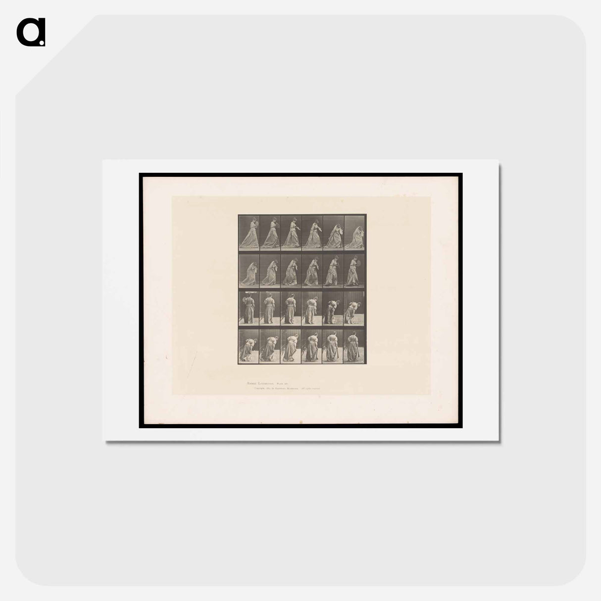 アートポストカード-Woman Lifting Her Dress
 - エドワード マイブリッジ Postcard.
