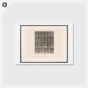 アートポストカード-Woman Lifting Her Dress
 - エドワード マイブリッジ Postcard.