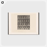 アートポストカード-Woman Lifting Her Dress
 - エドワード マイブリッジ Postcard.