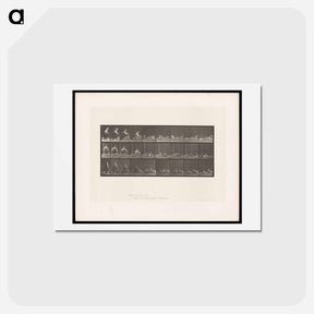 アートポストカード-Woman on Hay
 - エドワード マイブリッジ Postcard.