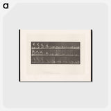 アートポストカード-Woman on Hay
 - エドワード マイブリッジ Postcard.