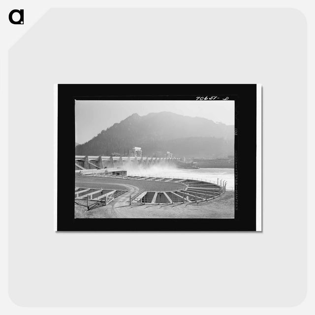 アートポストカード-Bonneville Dam and Fish Ladders
 - ラッセル リー Postcard.
