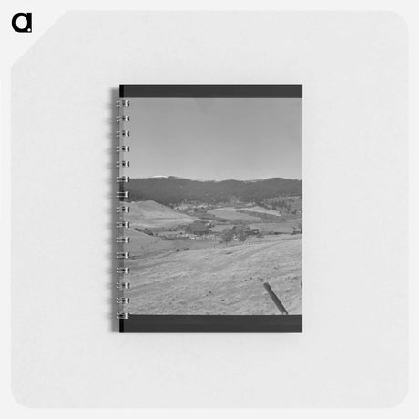 アートメモ帳-Orchard Power
 - ラッセル リー Memo.