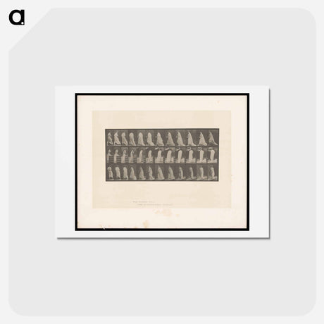 アートポストカード-Woman with Pitcher and Goblet
 - エドワード マイブリッジ Postcard.