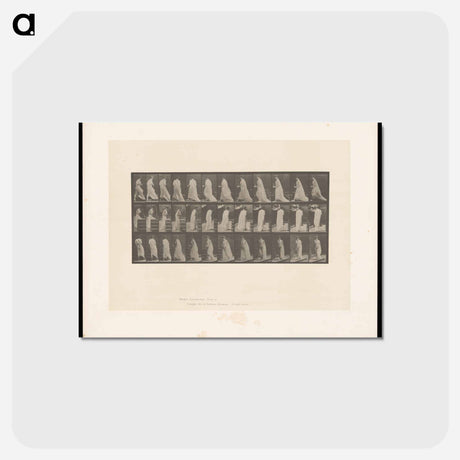 アートポストカード-Woman with Pitcher and Goblet
 - エドワード マイブリッジ Postcard.