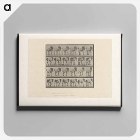 アートパネル-Walking Horse
 - エドワード マイブリッジ Canvas.