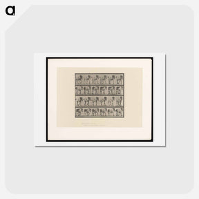 アートポストカード-Walking Horse
 - エドワード マイブリッジ Postcard.