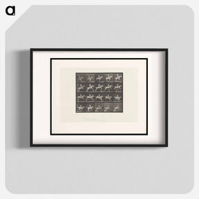 アートポスター-Horse Jumping a Hurdle
 - エドワード マイブリッジ Poster.