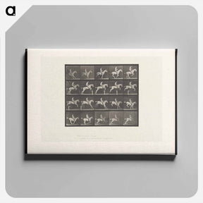 アートパネル-Horse Jumping a Hurdle
 - エドワード マイブリッジ Canvas.