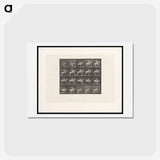 アートポストカード-Horse Jumping a Hurdle
 - エドワード マイブリッジ Postcard.