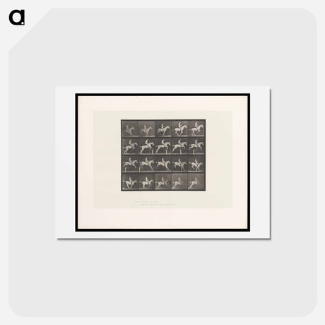 アートポストカード-Horse Jumping a Hurdle
 - エドワード マイブリッジ Postcard.