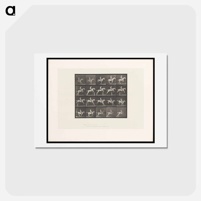 アートポストカード-Horse Jumping a Hurdle
 - エドワード マイブリッジ Postcard.