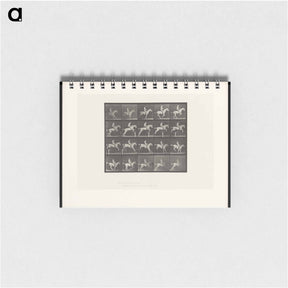 アートメモ帳-Horse Jumping a Hurdle
 - エドワード マイブリッジ Memo.