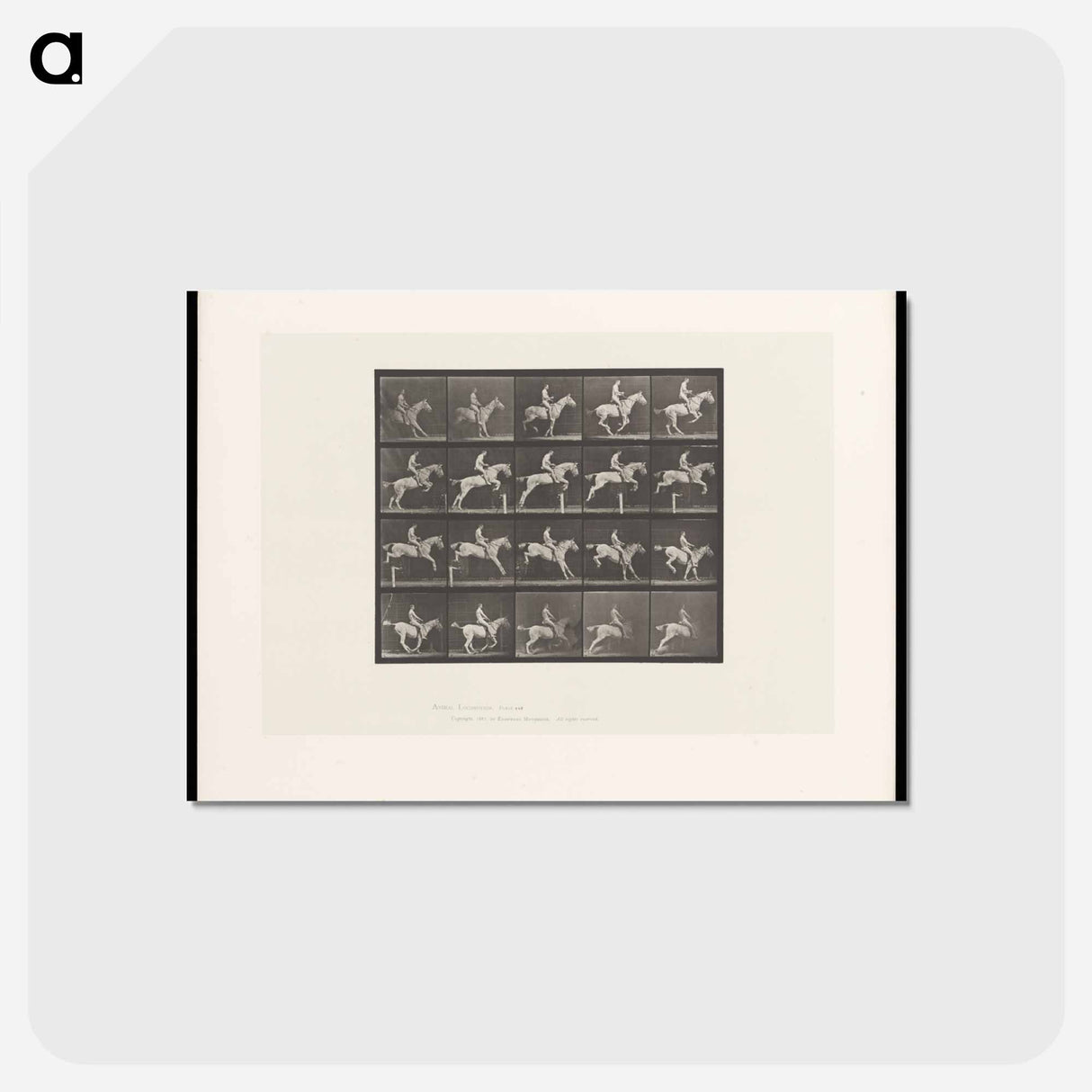 アートポストカード-Horse Jumping a Hurdle
 - エドワード マイブリッジ Postcard.