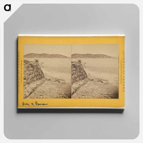 アートパネル-Bay of Panama
 - エドワード マイブリッジ Canvas.