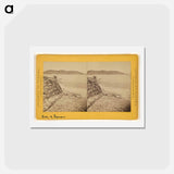 アートポストカード-Bay of Panama
 - エドワード マイブリッジ Postcard.