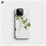 Spiny-Leaved Rose of Dematra - ピエール ジョゼフ ルドゥーテ Phone Case.