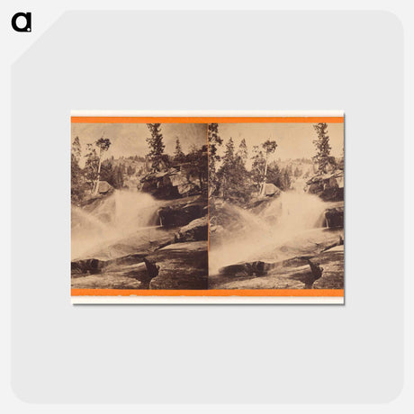 アートポストカード-Wild Cat
 - エドワード マイブリッジ Postcard.