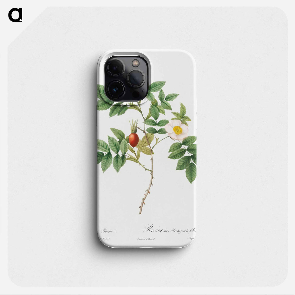 Bidentate Mountain Rose - Pierre Joseph Redouté Phone Case.