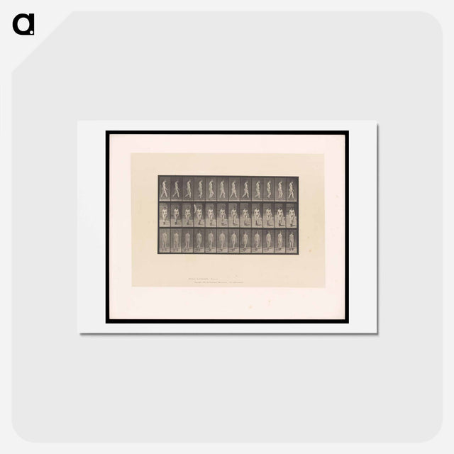 アートポストカード-Naked Woman Walking
 - エドワード マイブリッジ Postcard.