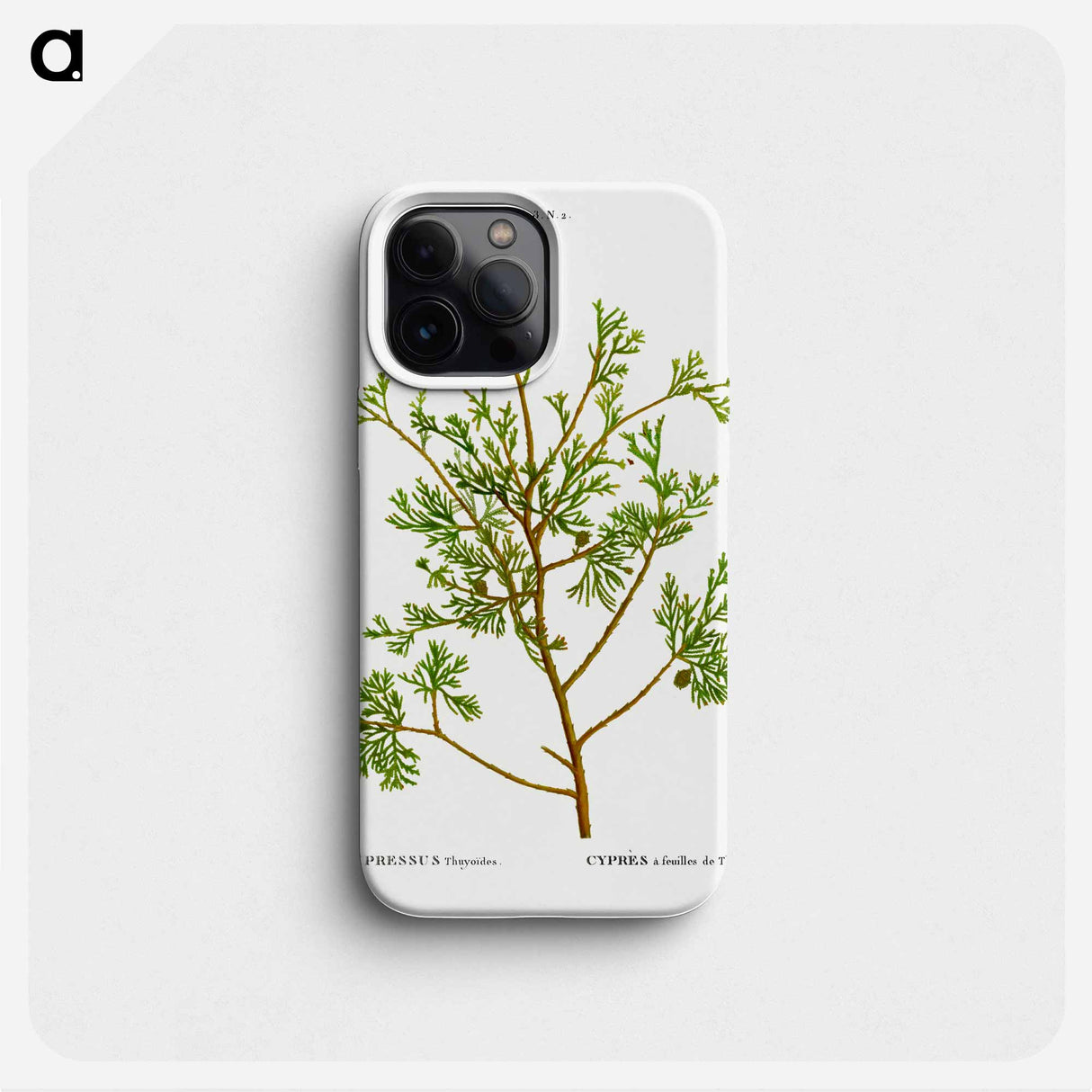 Atlantic white cypress - Pierre Joseph Redouté Phone Case.