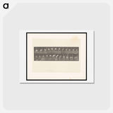 アートポストカード-Dog Jumping a Hurdle
 - エドワード マイブリッジ Postcard.