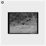 アートポストカード-Mine Tunnel, San Juan County
 - ラッセル リー Postcard.