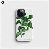 Smilax - Pierre Joseph Redouté Phone Case.