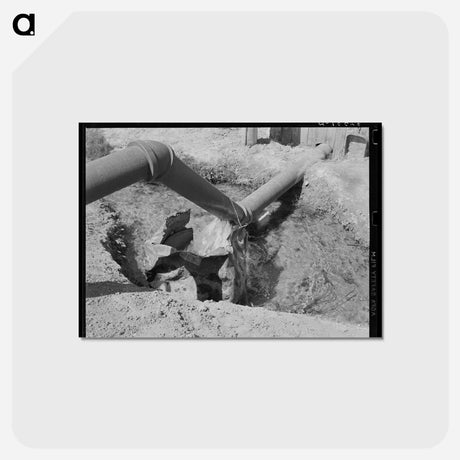 アートポストカード-Irrigation Ditch, La Pryor
 - ラッセル リー Postcard.