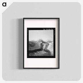 アートポスター-Untitled photo - ドロテア ラング Poster.