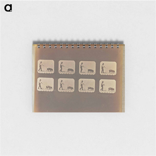 アートメモ帳-Walking
 - エドワード マイブリッジ Memo.