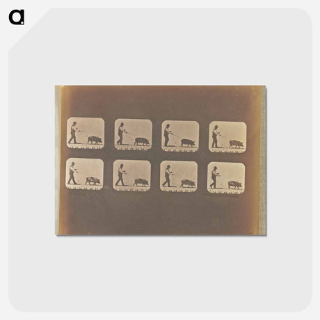 アートポストカード-Walking
 - エドワード マイブリッジ Postcard.