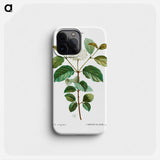 Common dogwood - ピエール ジョゼフ ルドゥーテ Phone Case.