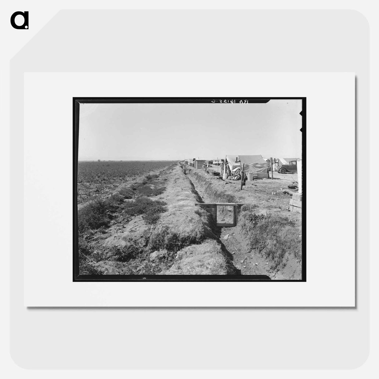 Forty families of drought and depression refugees - Dorothea Lange Poster.