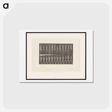 アートポストカード-Nude Descending a Staircase
 - エドワード マイブリッジ Postcard.