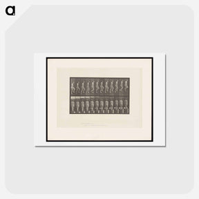 アートポストカード-Nude Descending a Staircase
 - エドワード マイブリッジ Postcard.