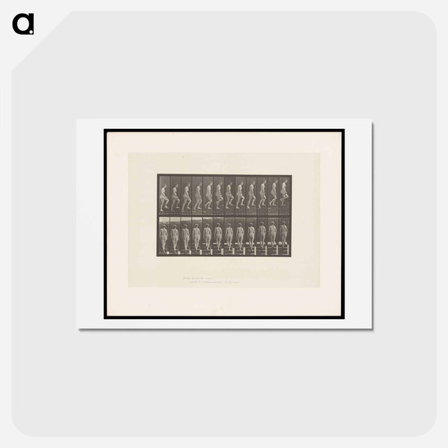 アートポストカード-Nude Descending a Staircase
 - エドワード マイブリッジ Postcard.