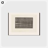 アートポストカード-Nude Descending a Staircase
 - エドワード マイブリッジ Postcard.