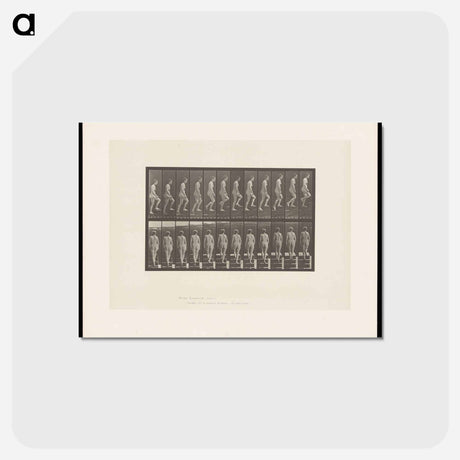 アートポストカード-Nude Descending a Staircase
 - エドワード マイブリッジ Postcard.