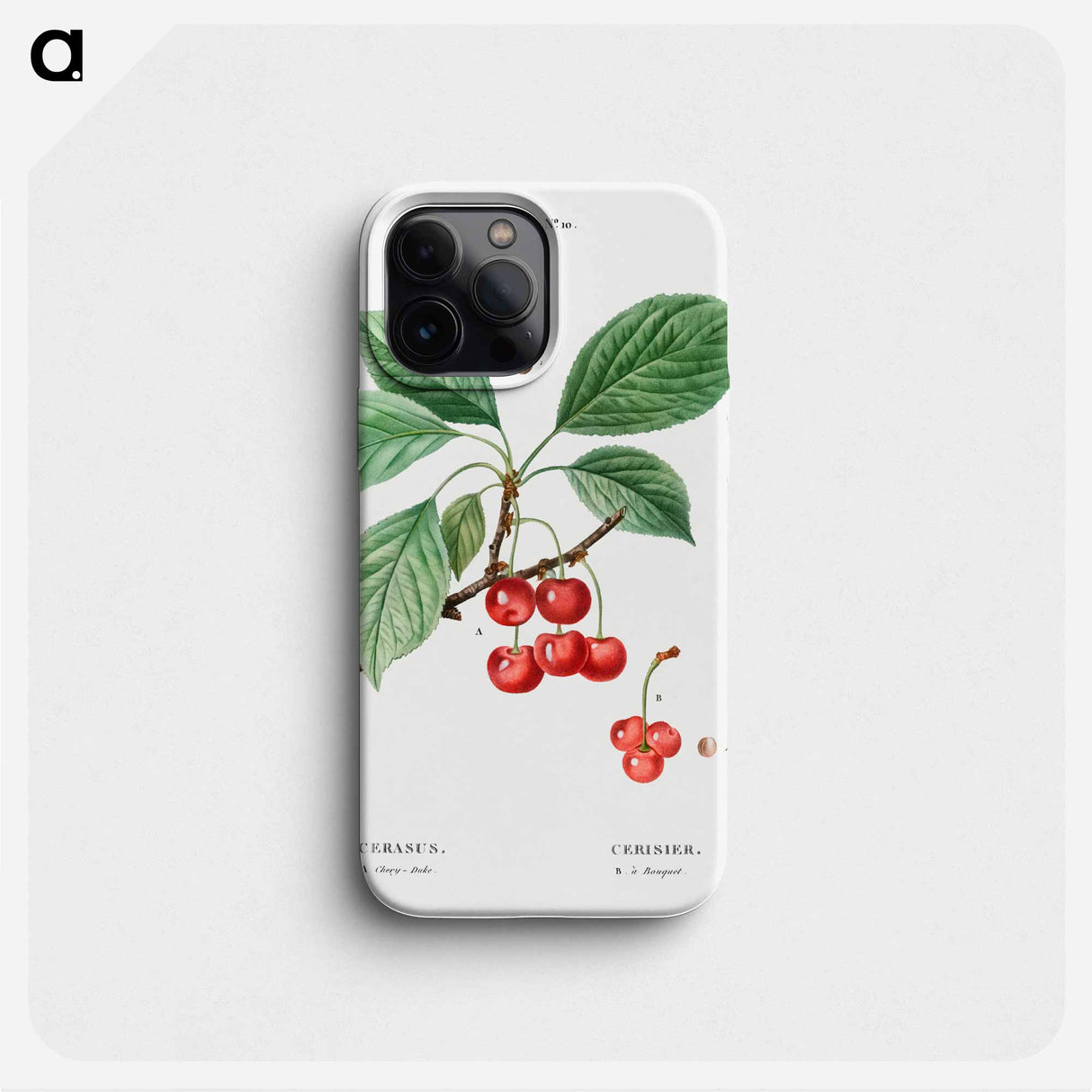 Cherry, Cerasus - ピエール ジョゼフ ルドゥーテ Phone Case.