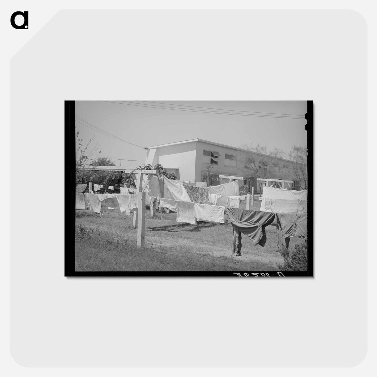アートポストカード-Arizona Apartment Backyard
 - ラッセル リー Postcard.