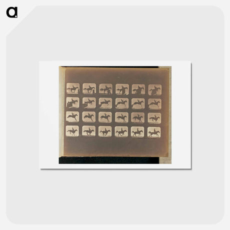 アートポストカード-Leaping
 - エドワード マイブリッジ Postcard.