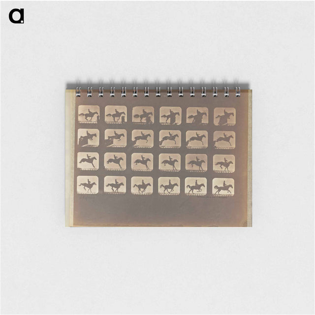 アートメモ帳-Leaping
 - エドワード マイブリッジ Memo.
