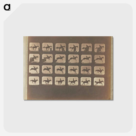 アートポストカード-Leaping
 - エドワード マイブリッジ Postcard.